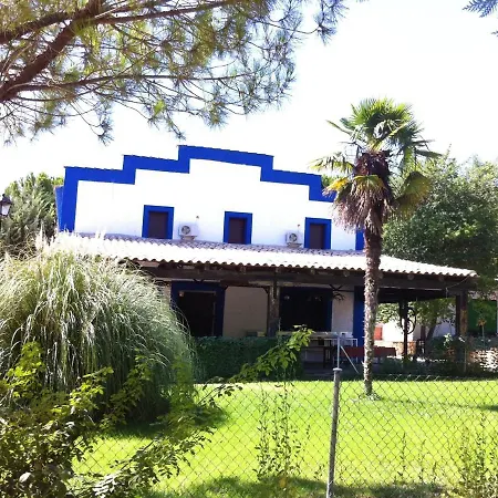With One Bedroom In With Wonderful Sea View Shared Pool Furnished Garden 100 M From The Beach *